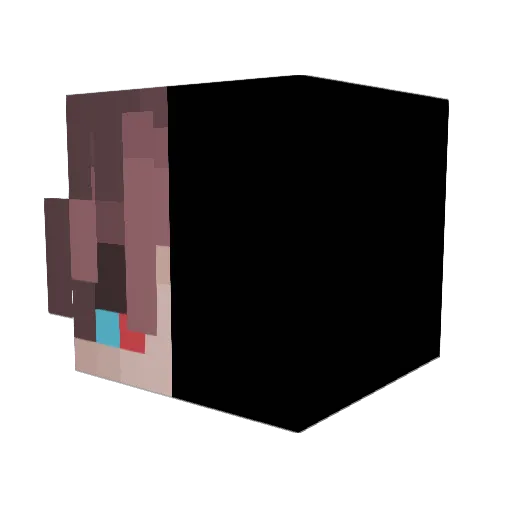 Ryan2939 Minecraft avatar head, 3D render