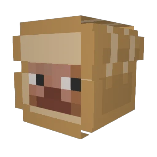 Ryan3212 Minecraft avatar head, 3D render