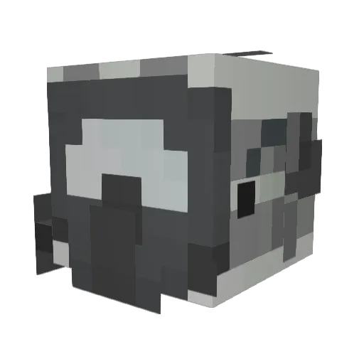 Ryan3DJR Minecraft avatar head, 3D render