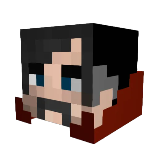 Ryan4711 Minecraft avatar head, 3D render