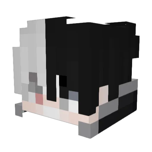 Ryan71605 Minecraft avatar head, 3D render