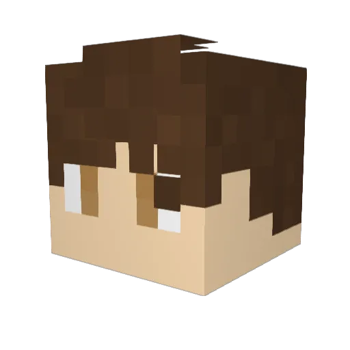 Ryan719 Minecraft avatar head, 3D render