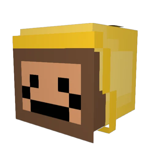 RyanBeanzie4536 Minecraft avatar head, 3D render