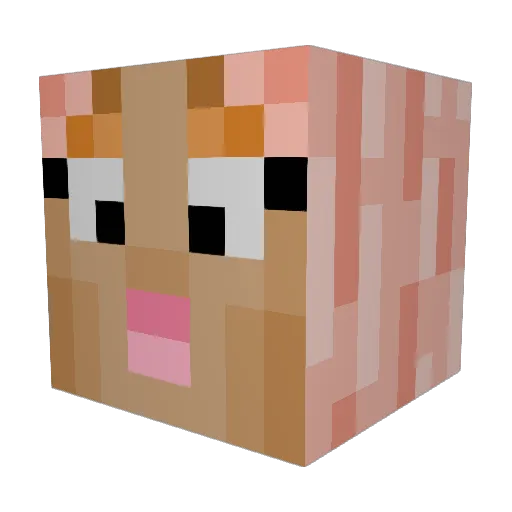 RyanBlobs Minecraft avatar head, 3D render