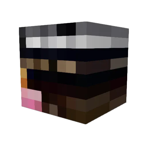 RyanCamey Minecraft avatar head, 3D render