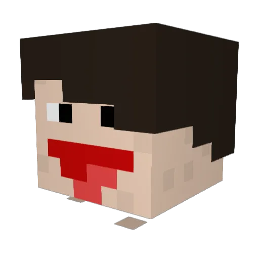 RyanD1122 Minecraft avatar head, 3D render