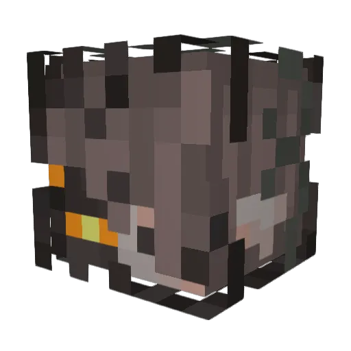 RyanDaSPLARK Minecraft avatar head, 3D render