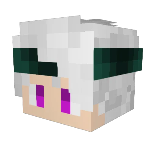 RyanEnSlipNoir Minecraft avatar head, 3D render