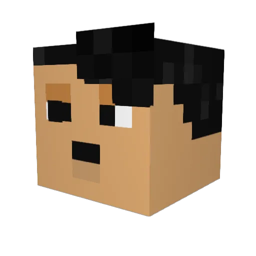 RyanFlanagan_ Minecraft avatar head, 3D render