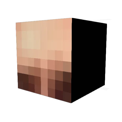 RyanGumild Minecraft avatar head, 3D render
