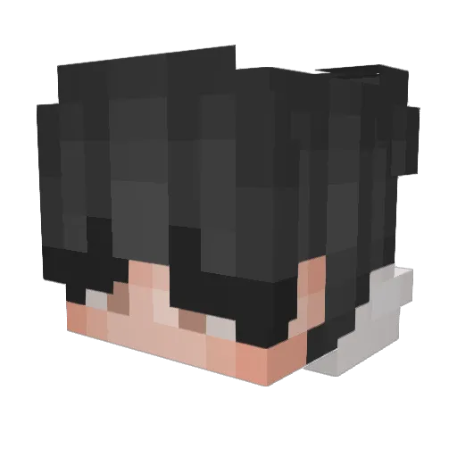 RyanJM_ Minecraft avatar head, 3D render