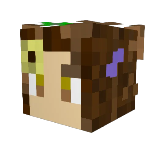 RyanLight415 Minecraft avatar head, 3D render