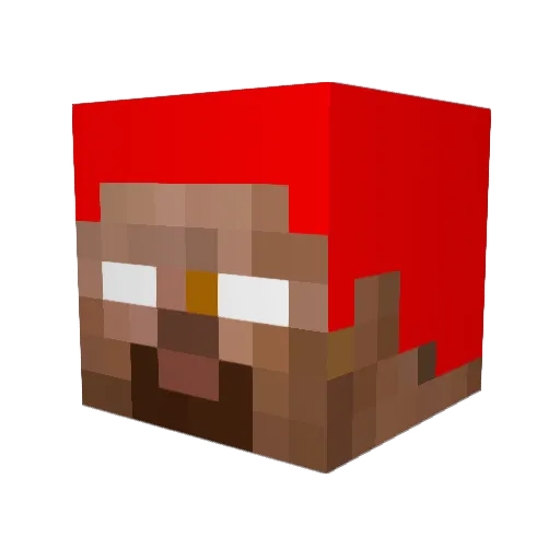 RyanN2003 Minecraft avatar head, 3D render