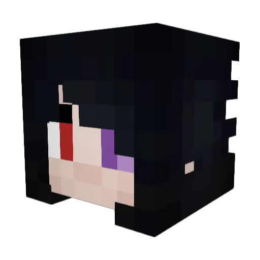 RyanPaddock10 Minecraft avatar head, 3D render