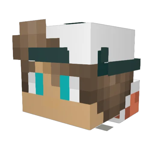 RyanPlayz31 Minecraft avatar head, 3D render