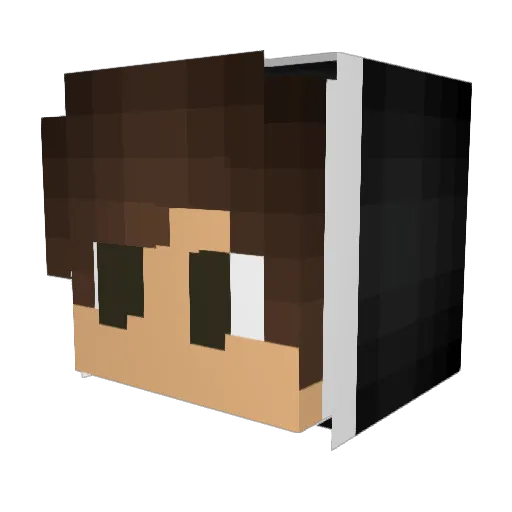 RyanRDW381 Minecraft avatar head, 3D render