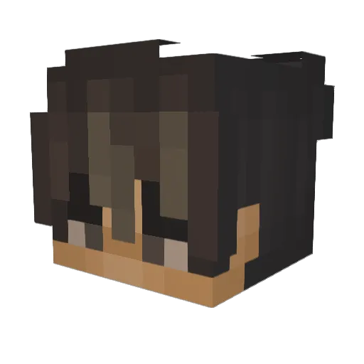 RyanSB24 Minecraft avatar head, 3D render