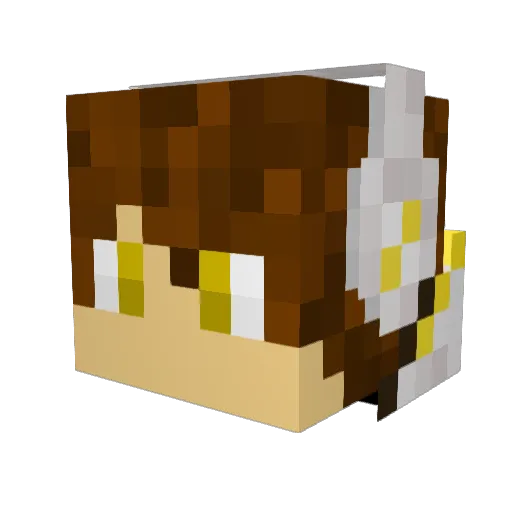 RyanSmit1202 Minecraft avatar head, 3D render