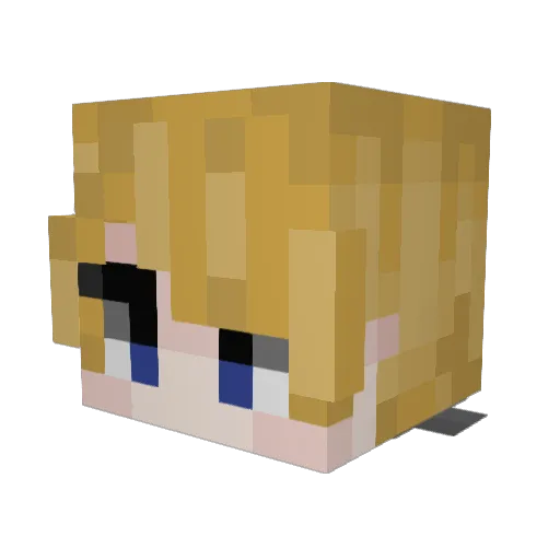 RyanStulp Minecraft avatar head, 3D render