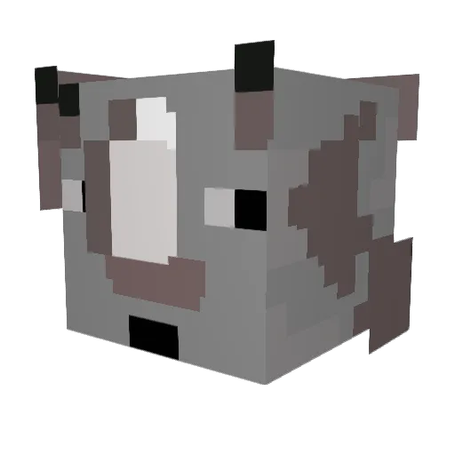 RyanTheRhino05 Minecraft avatar head, 3D render
