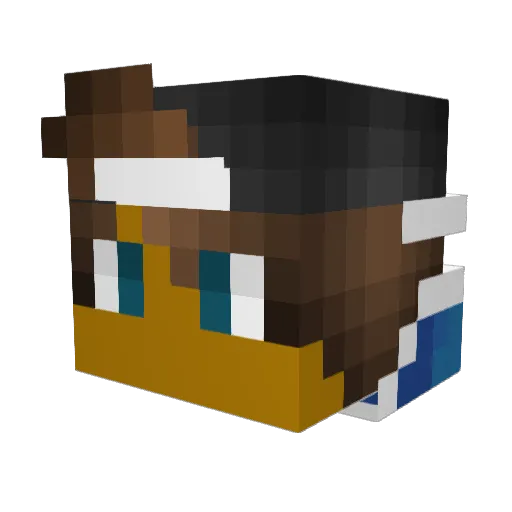 RyanVasko Minecraft avatar head, 3D render