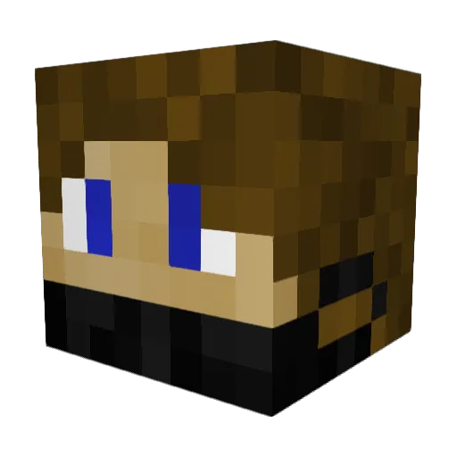 RyanWilton_ Minecraft avatar head, 3D render