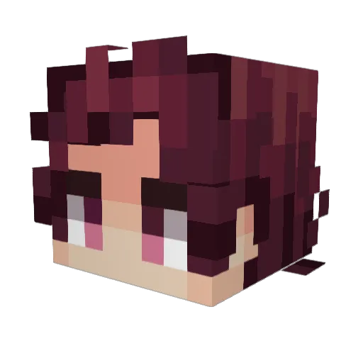 RyanXI7 Minecraft avatar head, 3D render