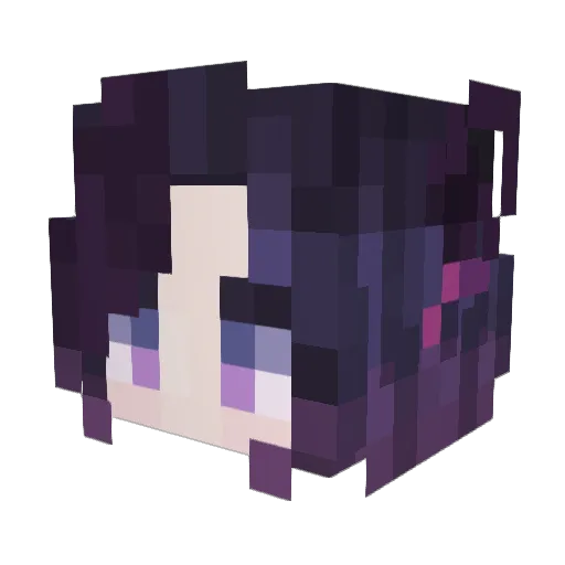 RyanXxXVXxX Minecraft avatar head, 3D render