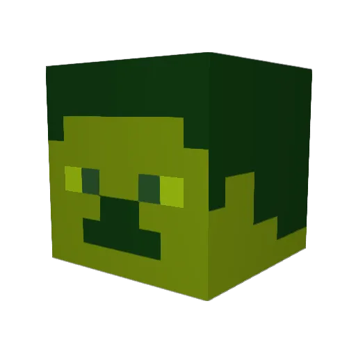 RyanZ148 Minecraft avatar head, 3D render