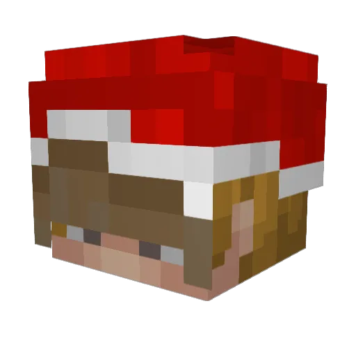 Ryan_DM Minecraft avatar head, 3D render