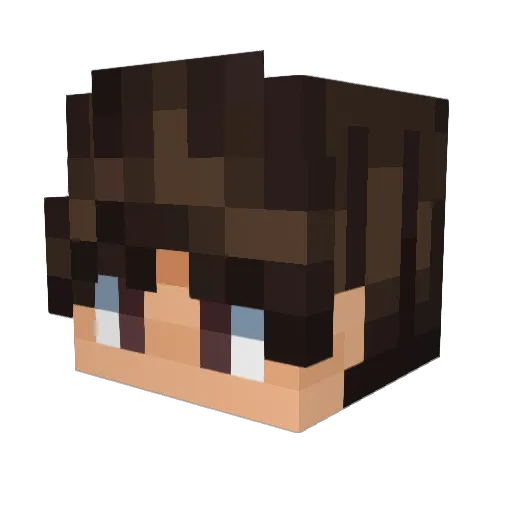 Ryan_H2O Minecraft avatar head, 3D render