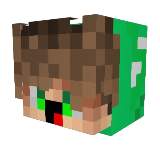 Ryan_JW Minecraft avatar head, 3D render