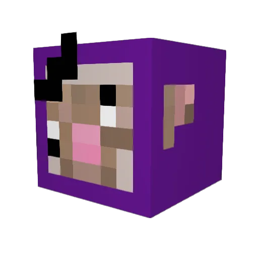 Ryan_Luca Minecraft avatar head, 3D render