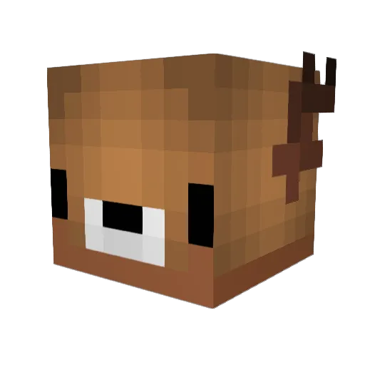 Ryan_Meister Minecraft avatar head, 3D render