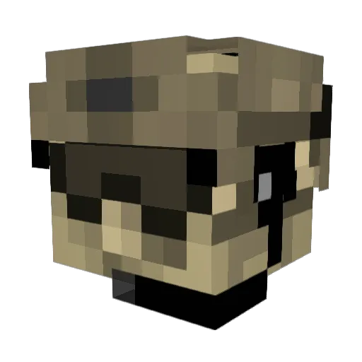 Ryan_Miller Minecraft avatar head, 3D render