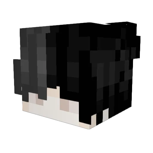 Ryan_______ Minecraft avatar head, 3D render