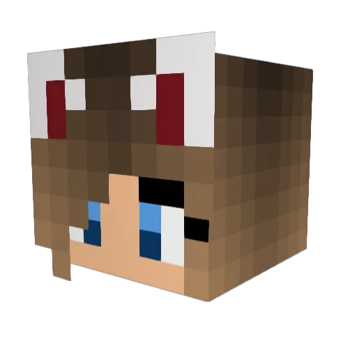 Ryan_herobrineII Minecraft avatar head, 3D render