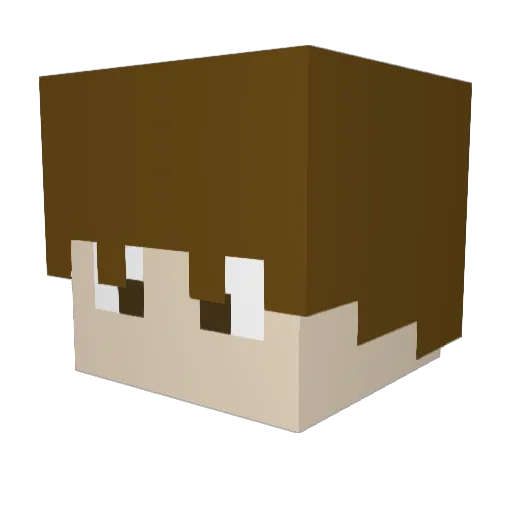 Ryan_mc Minecraft avatar head, 3D render