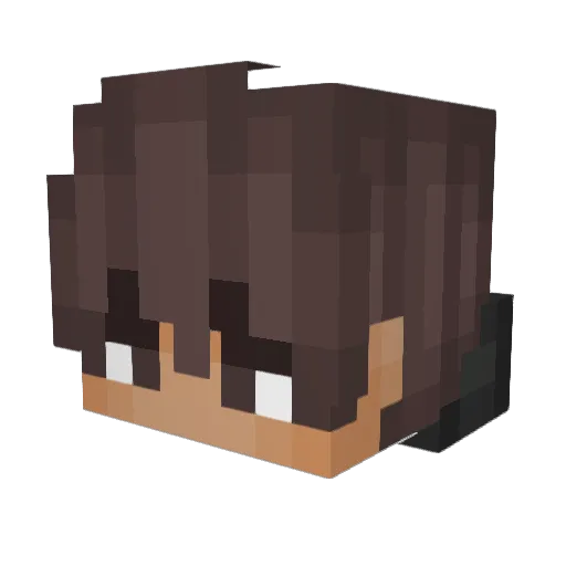 Ryanb3st Minecraft avatar head, 3D render