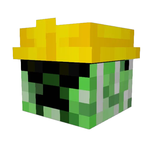 Ryandoes69 Minecraft avatar head, 3D render