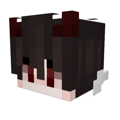 Ryaneri Minecraft avatar head, 3D render