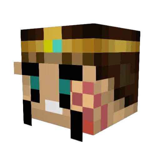 Ryaneth Minecraft avatar head, 3D render