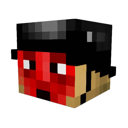 Ryanfilko Minecraft avatar head, 3D render