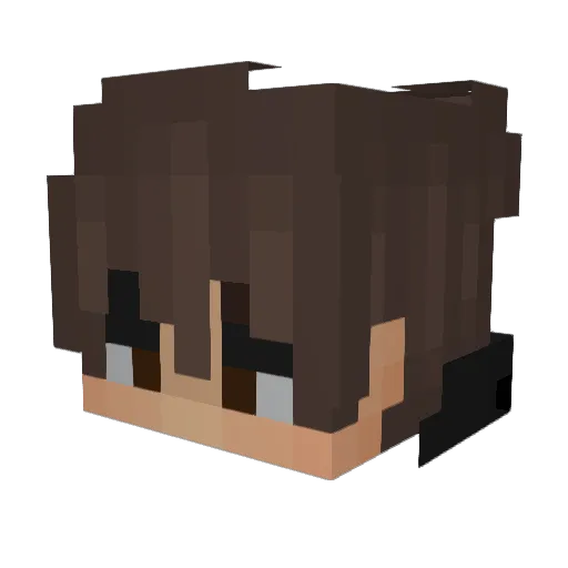 Ryangonc2007 Minecraft avatar head, 3D render