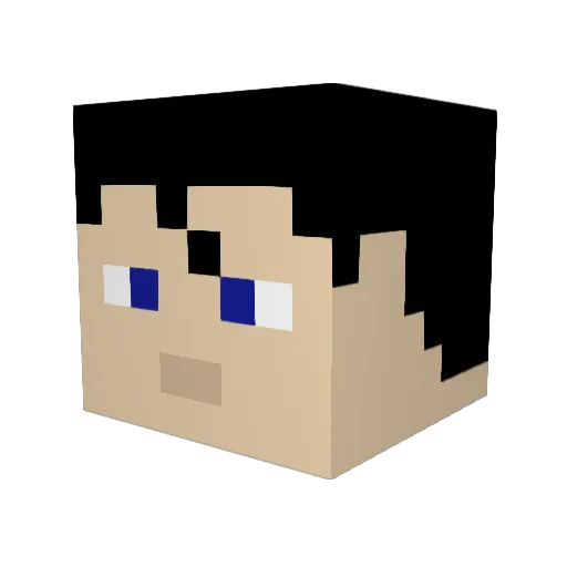 Ryangop Minecraft avatar head, 3D render