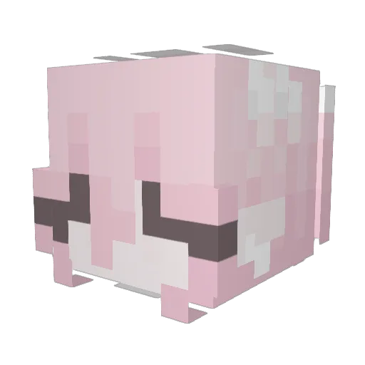 Ryaniary Minecraft avatar head, 3D render
