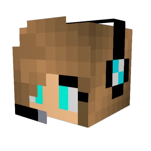Ryanlin25 Minecraft avatar head, 3D render