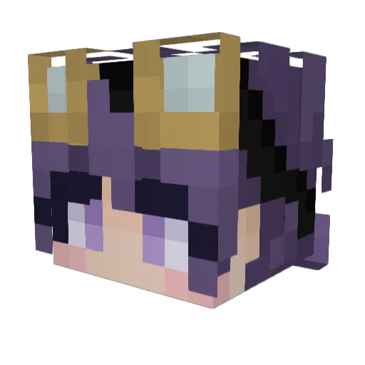 Ryanmatix Minecraft avatar head, 3D render