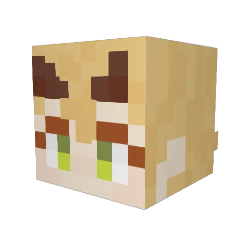 Ryannn_n Minecraft avatar head, 3D render