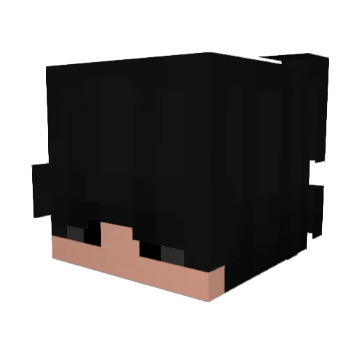 Ryannzin777 Minecraft avatar head, 3D render